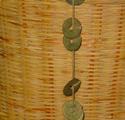 Coins On Chinese Tea Basket
Picture # 2380
